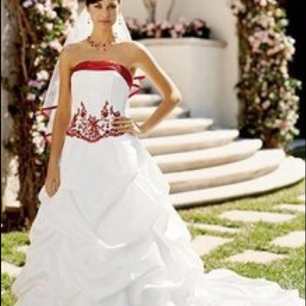 Davids Bridal wedding dress